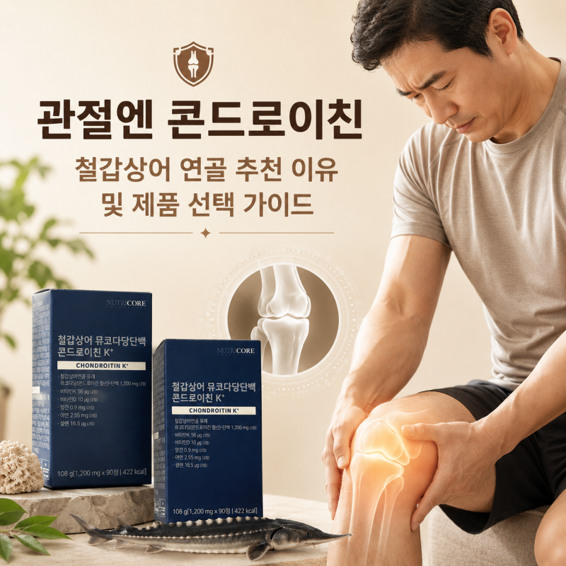관절엔 콘드로이친 철갑상어 연골 추천 이유 및 제품 선택 가이드