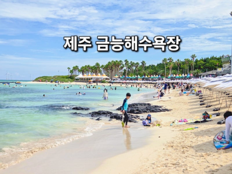 제주 금능해수욕장 아이와 물놀이 주차 파라솔 샤워장까지 가족여행 후기