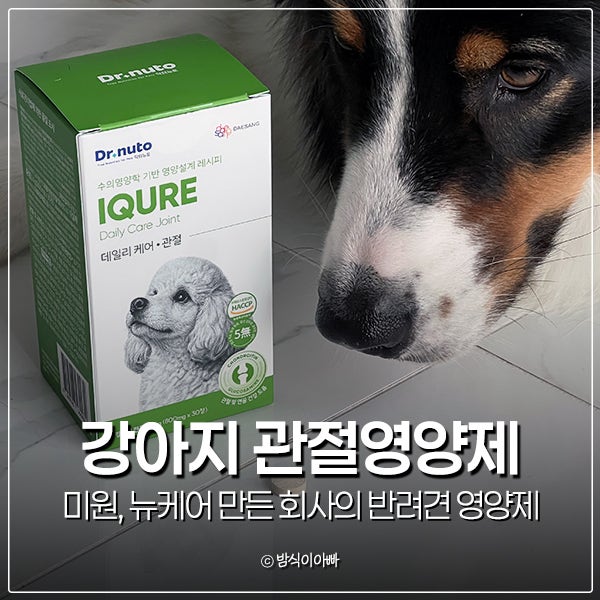 강아지 관절염 걱정된다면 닥터뉴토 강아지 관절영양제 슬개골 영양제