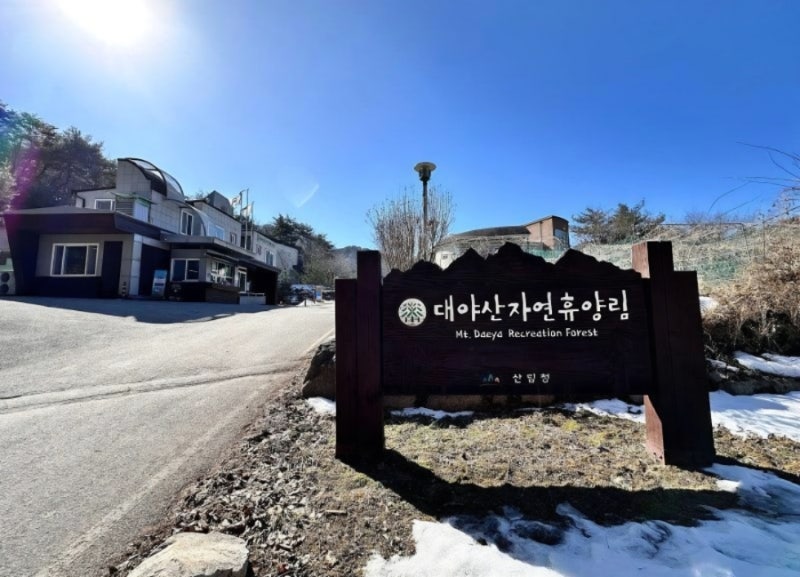 대야산자연휴양림 예약 성공기 | 수요일 9시 무한 새로고침, 602호 둔덕산 잡았습니다