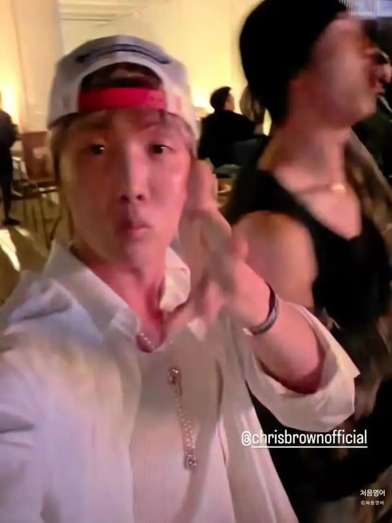 “왜 하필 크리스 브라운?” BTS RM, 제이홉 콘서트 참석에 팬들 충격