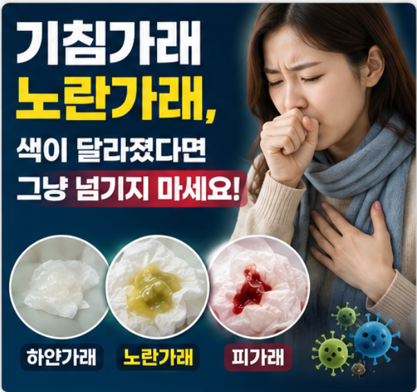 기침가래 계속될 때, 노란가래 피가래 그냥 넘기면 안 되는 이유