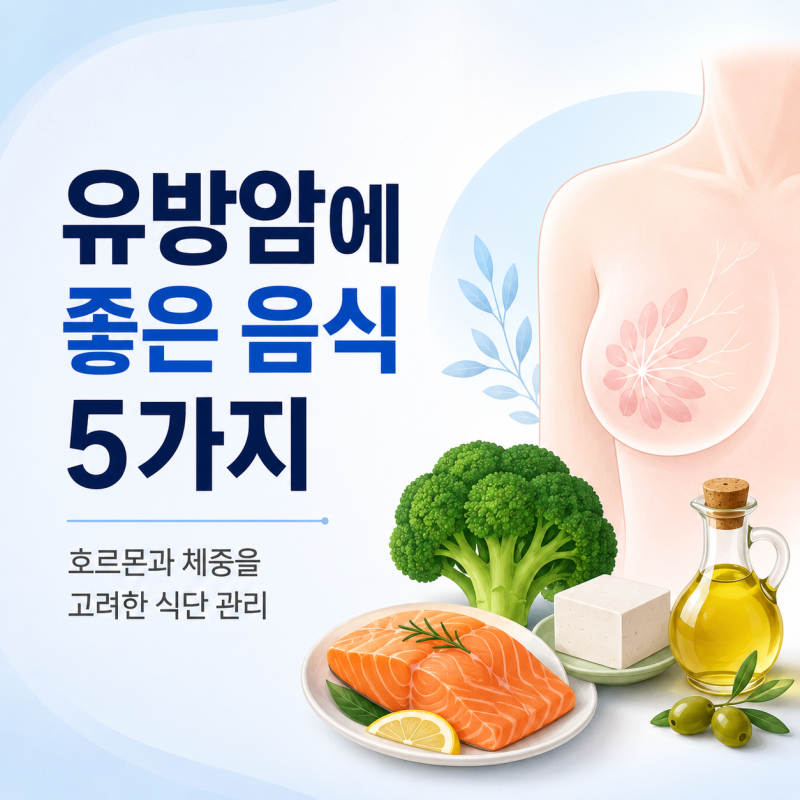 유방암에 좋은 음식 5가지, 호르몬과 체중을 고려한 식단 관리