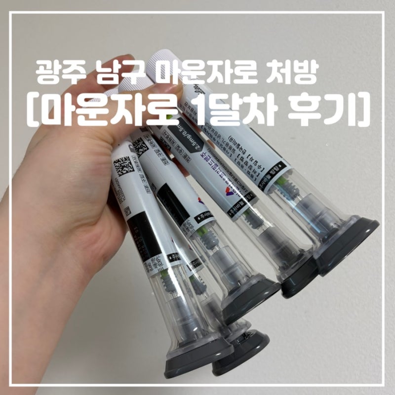 광주 마운자로 1달차 후기(광주남구처방)