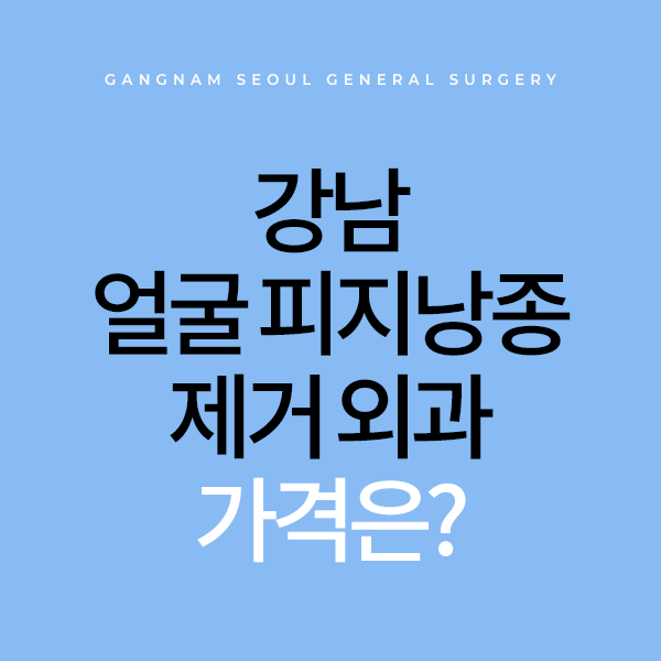 강남 얼굴 피지낭종 제거 외과 가격은?