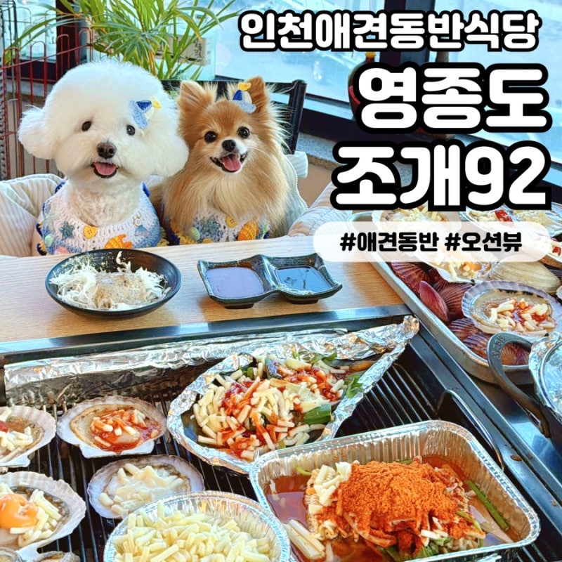 [영종도조개92] 인천애견동반식당 오션뷰 명당인 구읍뱃터 조개구이 새우구이 맛집