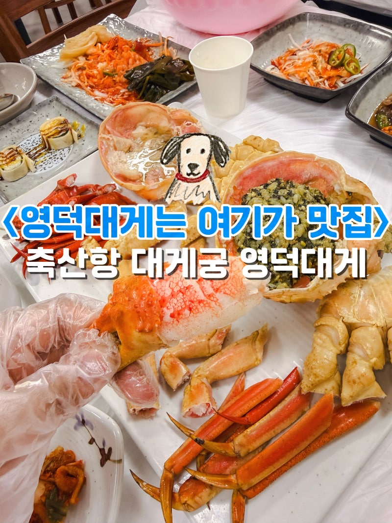 경북 영덕 축산항대게궁 영덕대게 홍게 코스요리전문맛집