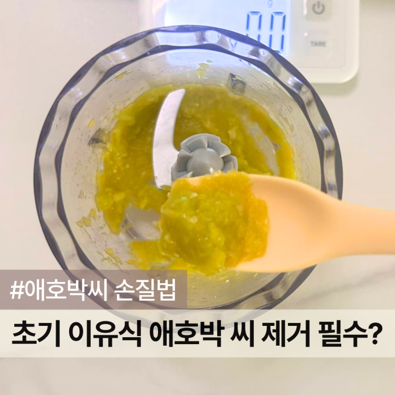 초기 이유식 애호박 씨 제거해야 할까? | 손질법 및 큐브 만들기