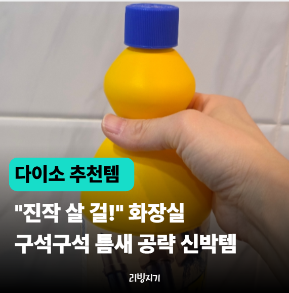 "진작 살 걸 그랬어요" 욕실 물때 청소 편해진 다이소 천원 청소꿀템 TOP5