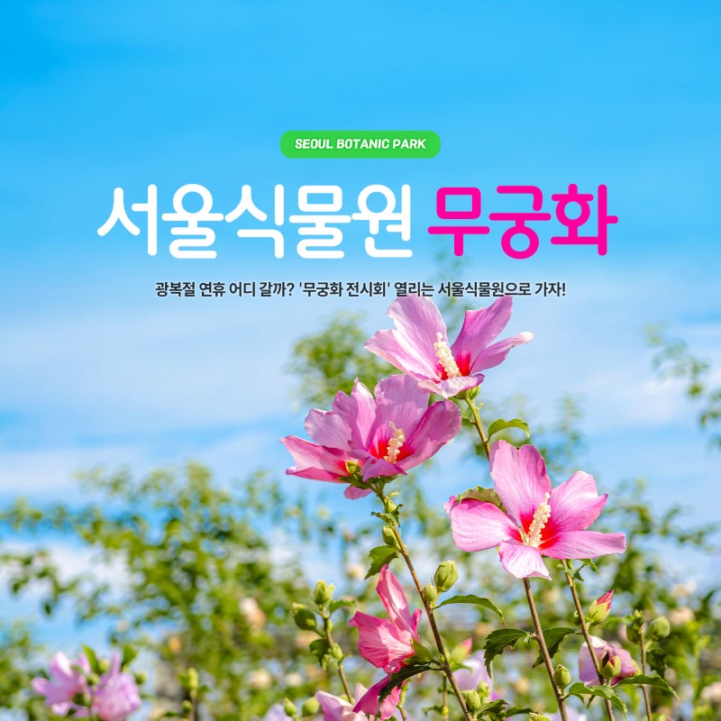 광복절 연휴 어디 갈까? '무궁화 전시회' 열리는 서울식물원, 마곡 가볼 만한 곳!