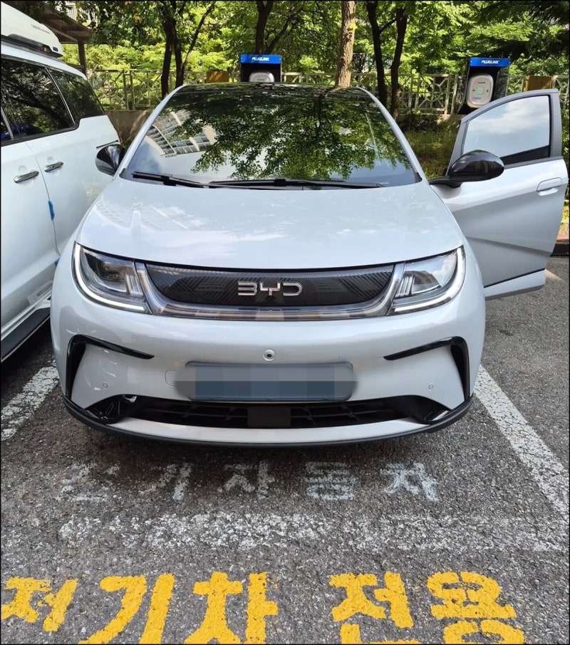 BYD 돌핀 가격·보조금 총정리, 실구매가부터 즉시출고까지!!