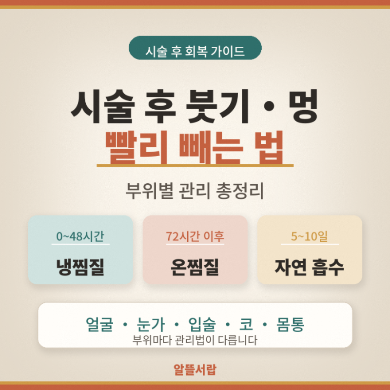 시술 후 붓기·멍 빨리 빼는 법 총정리 | 부위별 관리법까지