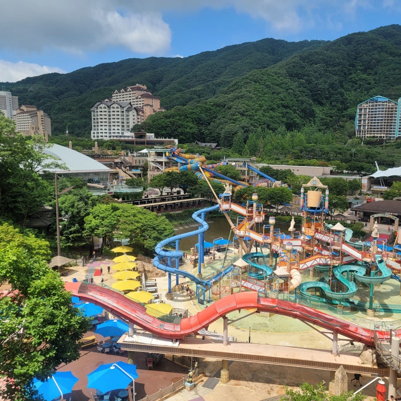소노벨 비발디파크 오션월드 소노캄 리조트 패키지 특가 예약 홍천 숙소 추천