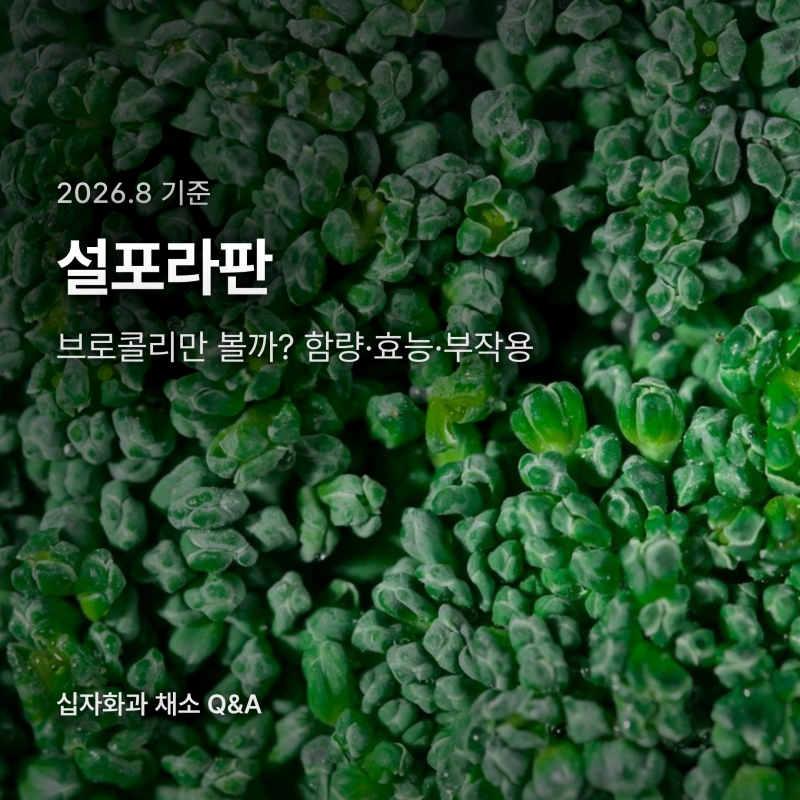 설포라판 효능 부작용, 무순이 브로콜리보다 많은 이유