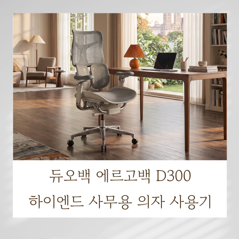 듀오백 에르고백 D300 하이엔드 사무용 의자 사용기