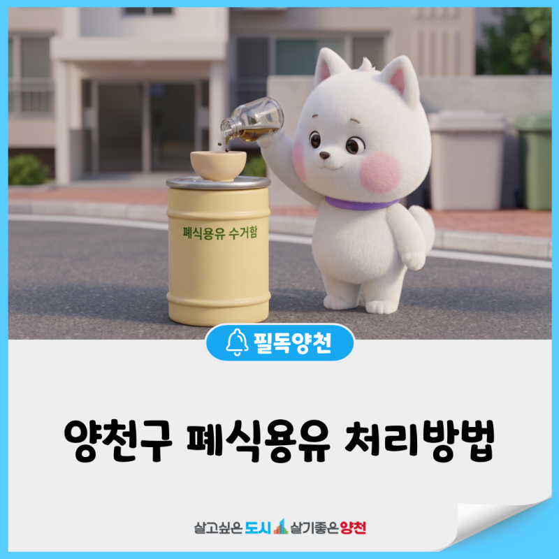 ♻️식용유 어떻게 버려요? 양천구 폐식용유 처리 방법 안내