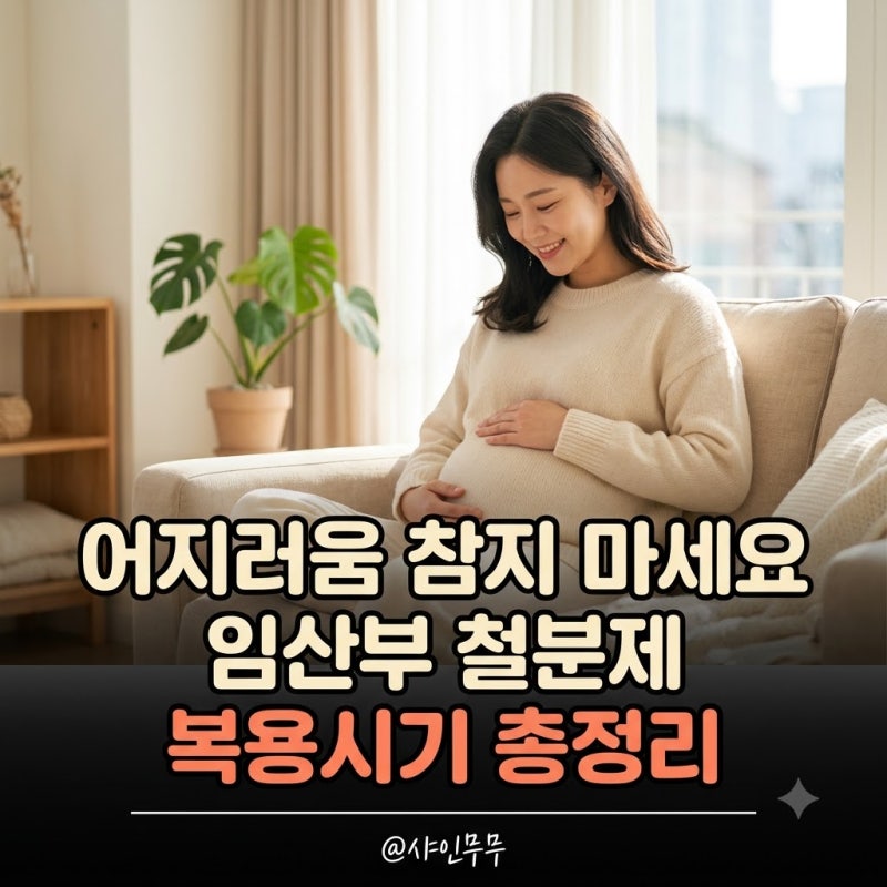 "어지러움 참지 마세요" 전문의가 권장하는 임산부 철분제 복용시기 가이드