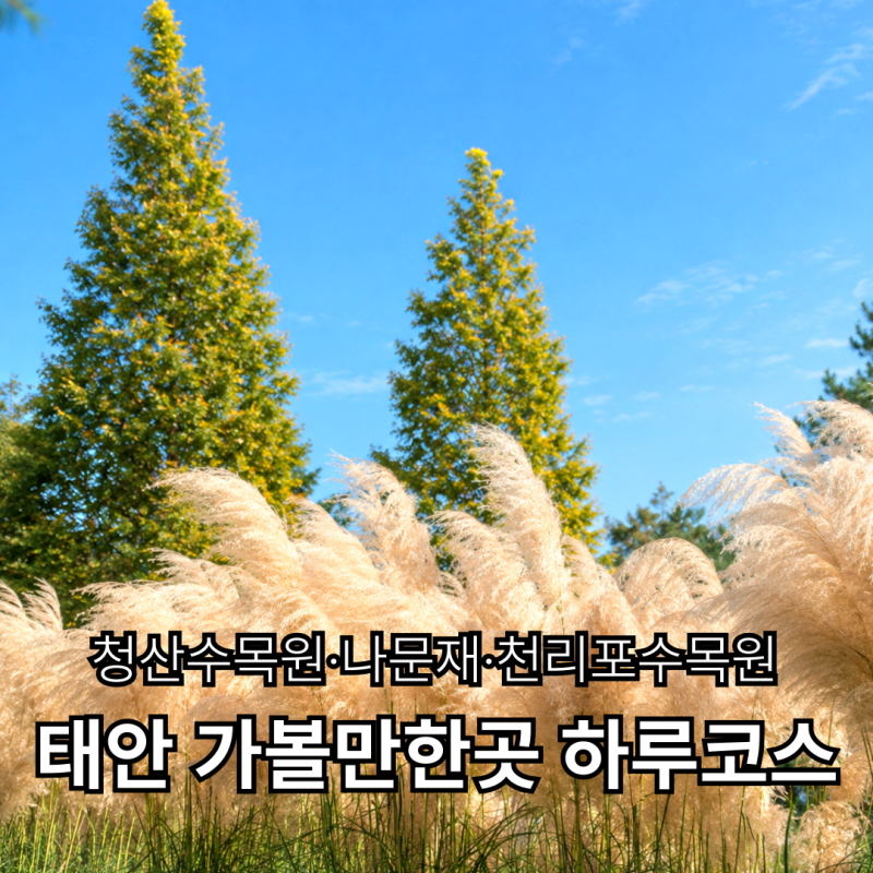 태안 가볼만한곳 하루코스 | 청산수목원·나문재·천리포수목원 감성 당일치기 여행