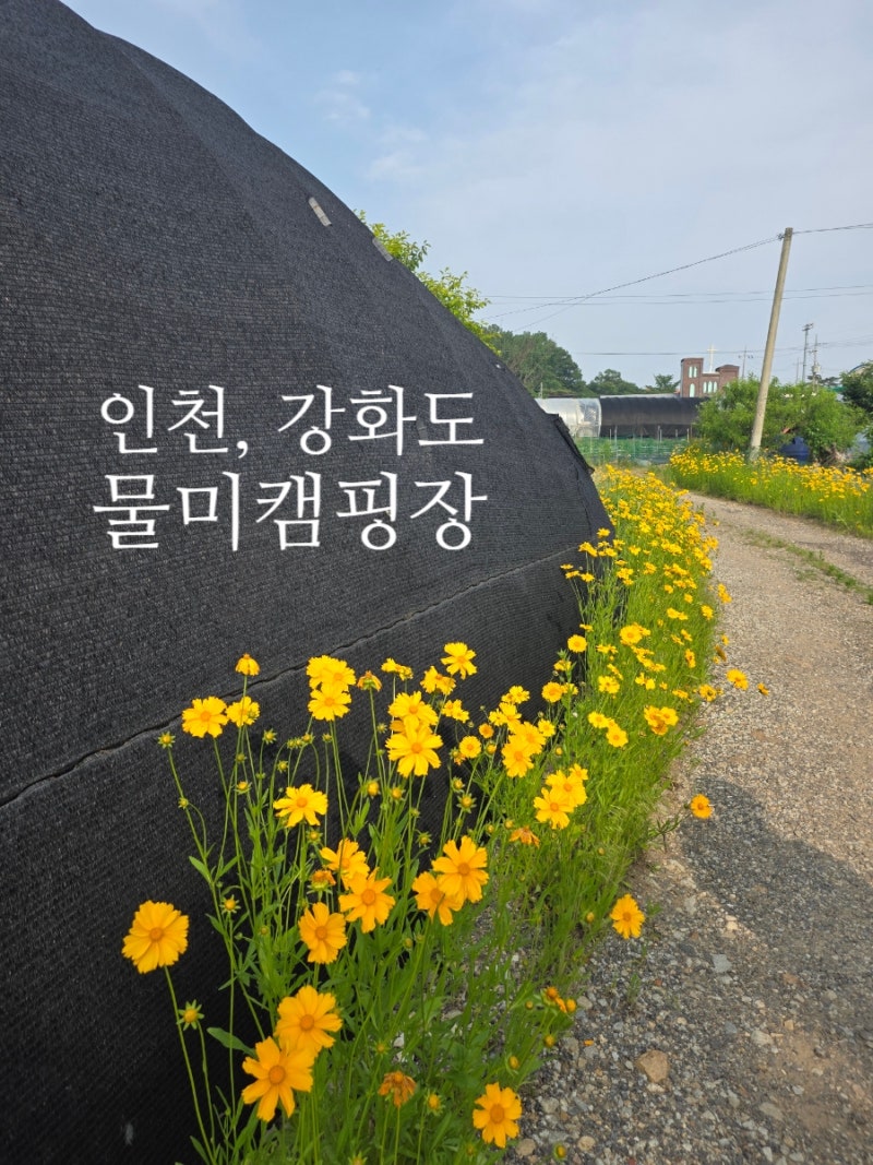 [인천 강화도] 물미캠핑장