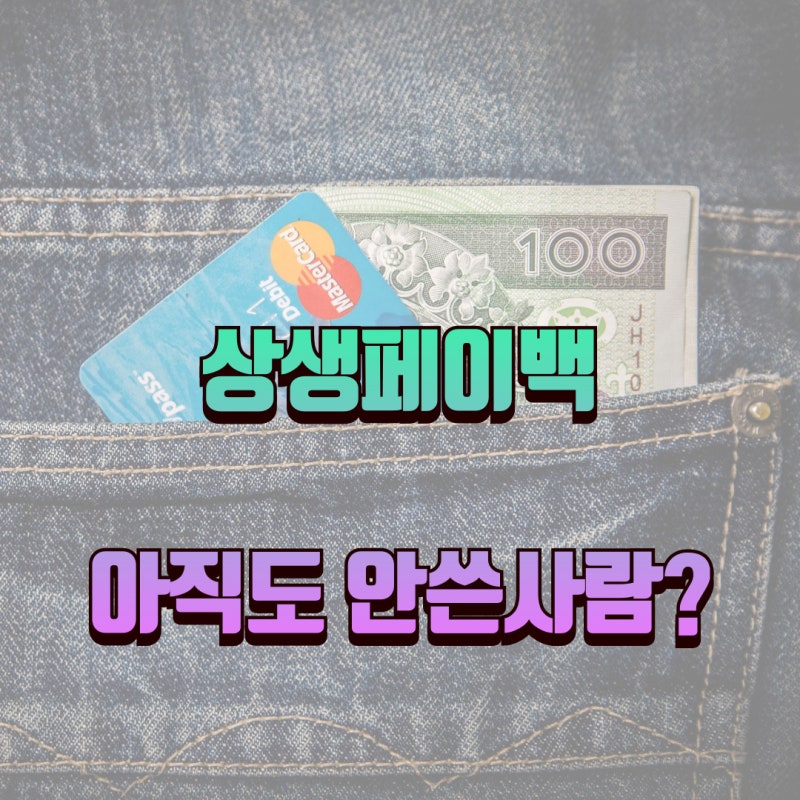상생페이백 사용기간 방법 사용처 총정리