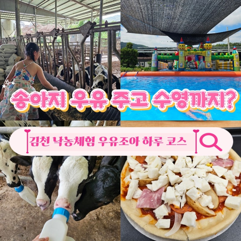 김천 아이와 가볼 만한 곳 김천 우유조아 | 대구 근교 아이와 가볼만한 곳 낙농체험하면서 수....