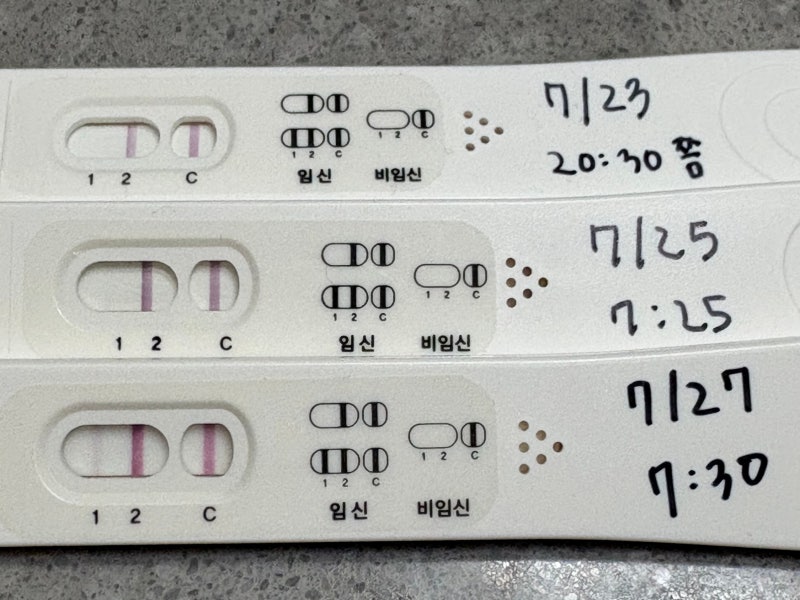 임신 4주차 기록 - 임테기 정체기, 2차 피검사, 쓰리라인 파이널체크 임테기 보는 법, 임테기 ....