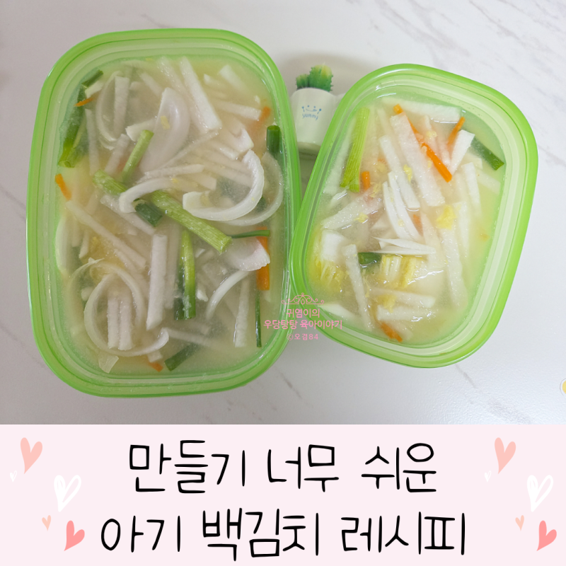 아기 백김치 배추 물김치 간단하게 만들기