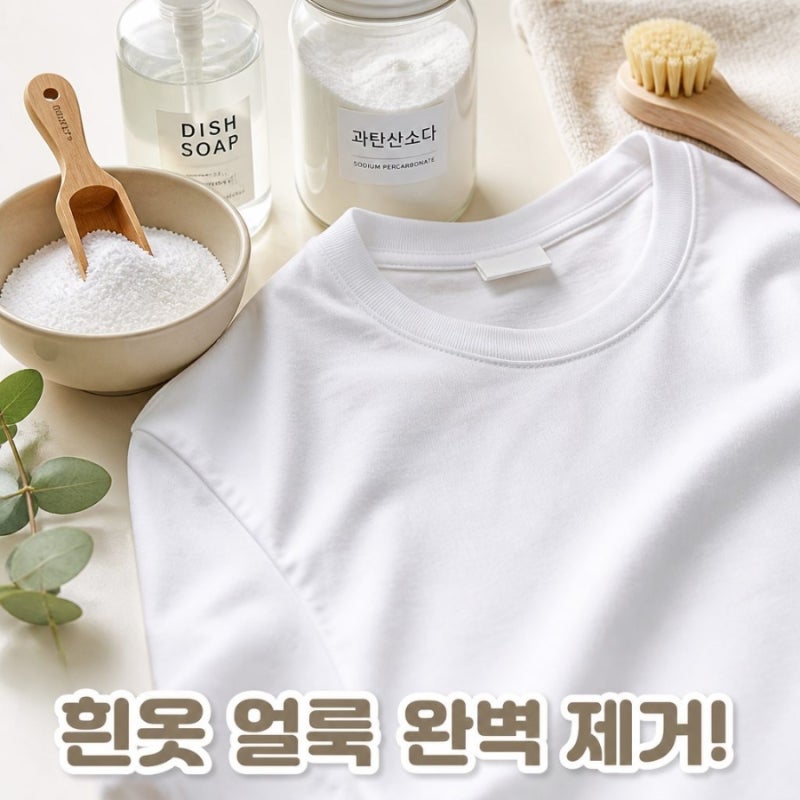 흰옷 관리방법 누런때부터 옷에 묻은 얼룩 지우기 세탁법