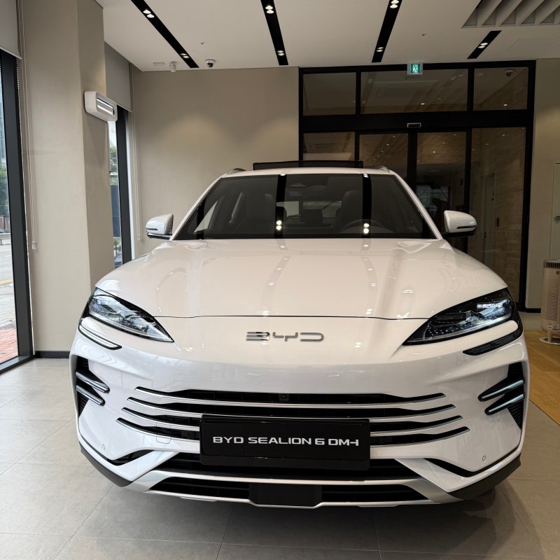 BYD 씨라이언6 실제 연비는? DM-i 연비 제대로 알아보기