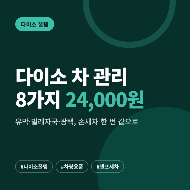 다이소 차량관리용품 8가지, 다 합쳐 24,000원으로 여름 흔적 지우기