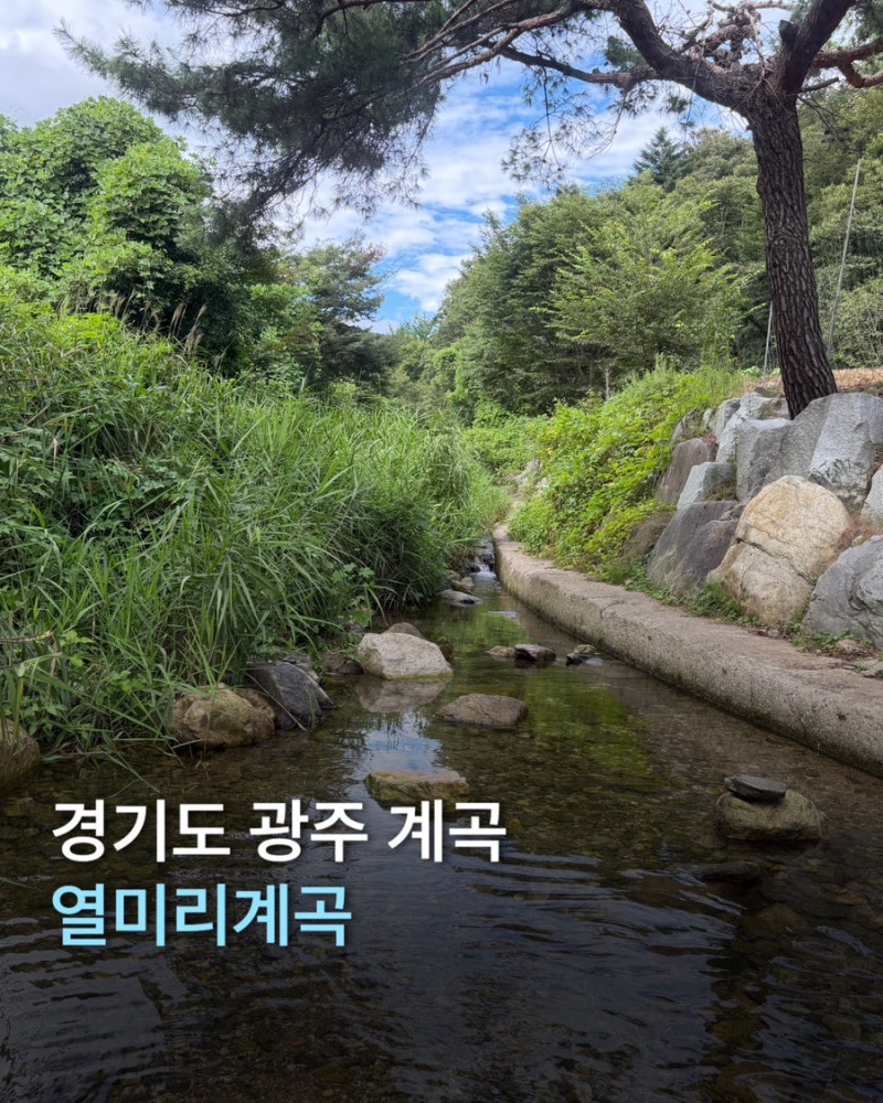 다슬기많은곳 다슬기잡기 경기도 광주 열미리계곡