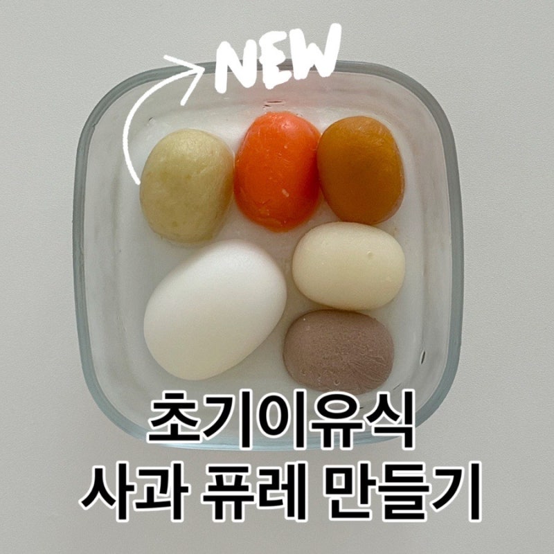 초기이유식 사과 퓨레 큐브 레시피(사과 껍질 넣을까?)