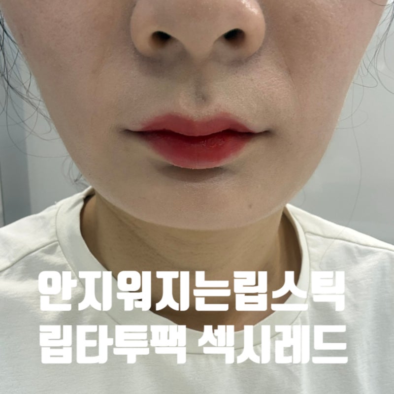 안지워지는립스틱 모리채 립타투팩 섹시레드