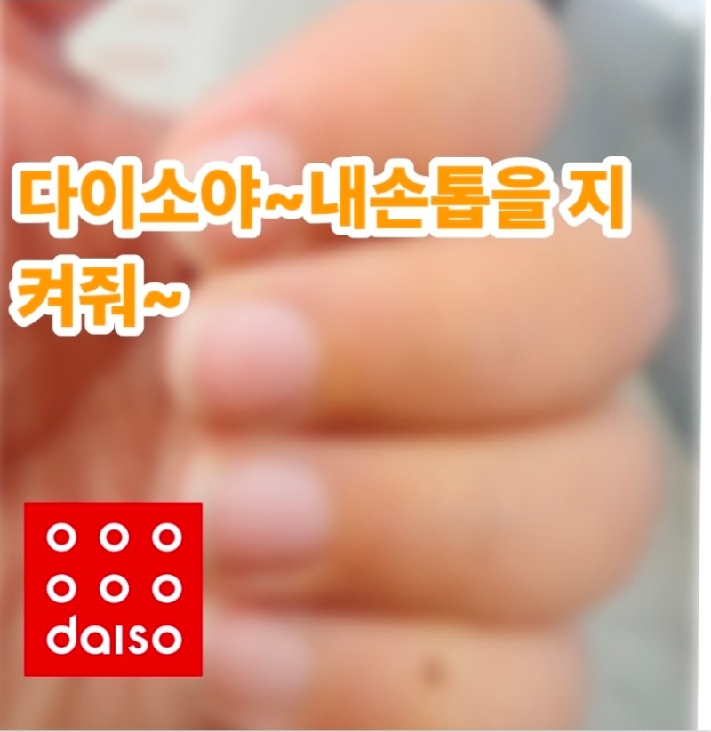 다이소 손발톱 단백질 영양 앰플 가격과 특징 사용법