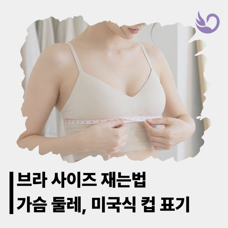 브라 사이즈 재는법 측정 가슴 둘레 미국식 컵 표기