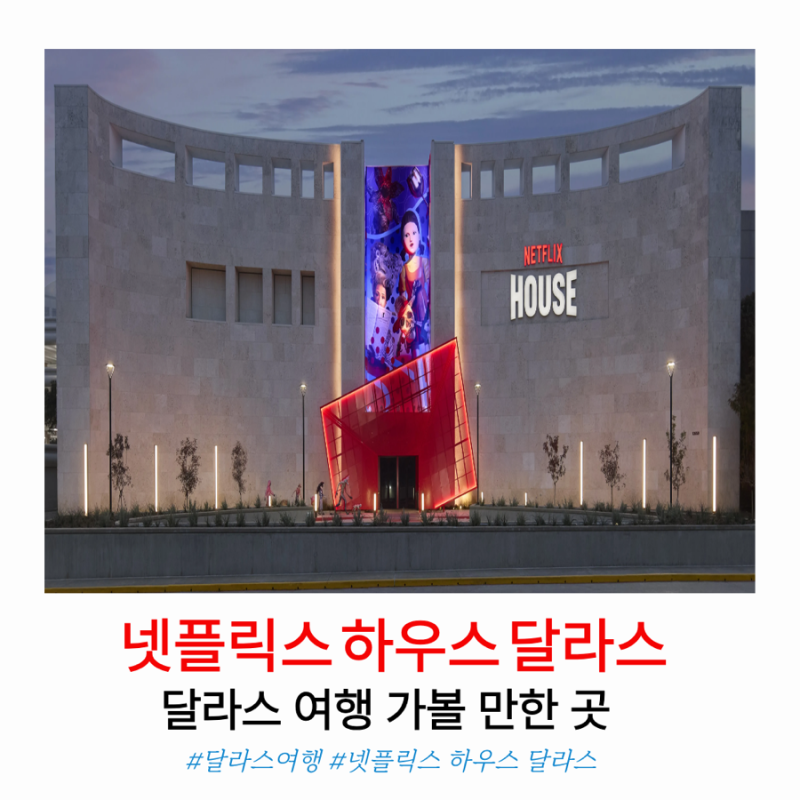 달라스 넷플릭스 하우스 위치부터 영업시간, 무료입장까지 직접 다녀온 후기