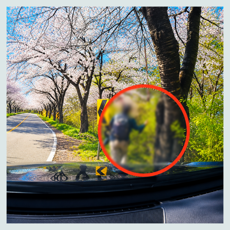 사람이 죽었는데 고작 6년? <b>한블리</b> 벚꽃길 부부 덮친 음주운전, 판사....