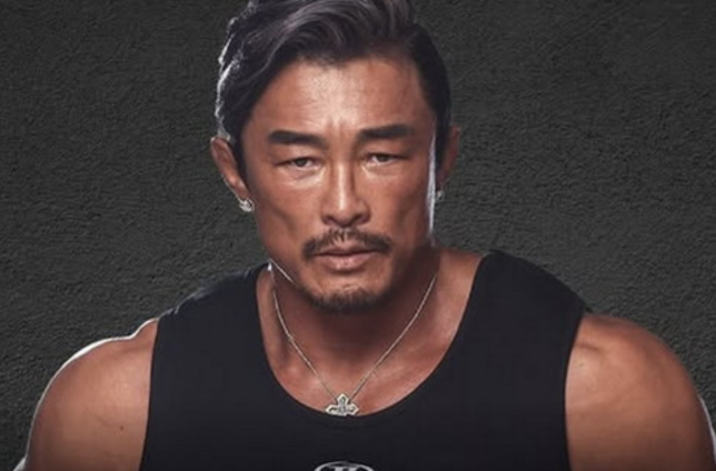블랙컴뱃 ufc 추성훈은 유도선수인데 왜 타격까지 잘했을까? 숨겨진 파이팅 스타일 분석