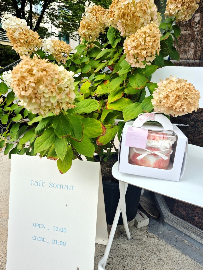 일산케이크맛집 밤리단길케이크 소만케이크 정말 맛있잖아!