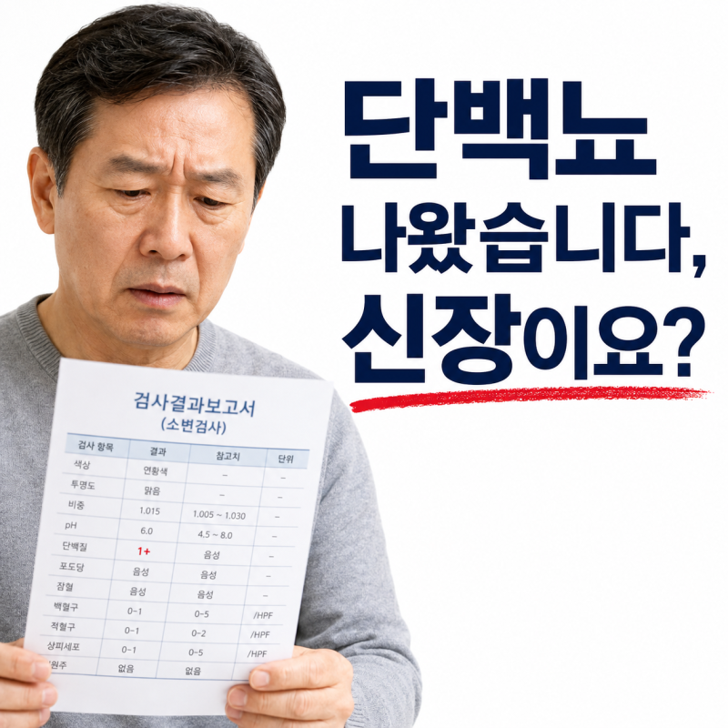 소변검사에서 단백뇨·잠혈이 나왔습니다 — 얼마나 심각한가요?