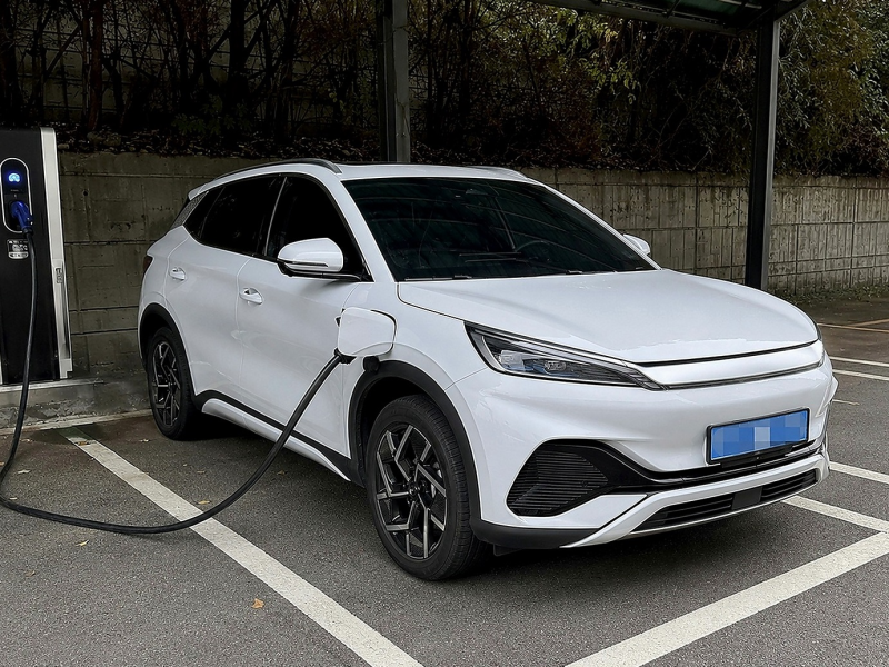 BYD 아토3 전기차 보조금 계약 전에 국고 지원 대상부터 볼 이유