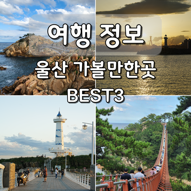 울산 여행 코스 가볼만한곳 울산 슬도 대왕암공원 출렁다리
