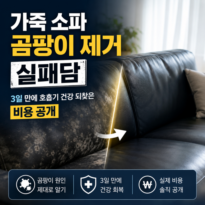 가죽 소파 곰팡이 제거 실패담: 3일 만에 호흡기 건강 되찾은 비용 공개