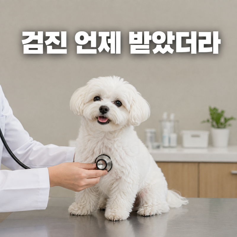 강아지 건강검진 항목과 비용, 동물병원 항체검사부터 나이별 검사까지