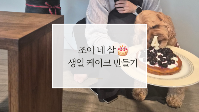 조이의 네 번째 생일, 강아지 케이크를 직접 구웠다