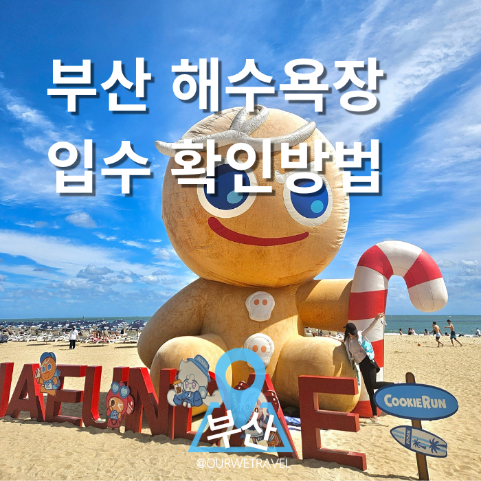 해운대 해수욕장 입수정보 확인 방법｜8월 3일간 가보니 (꿀팁有)