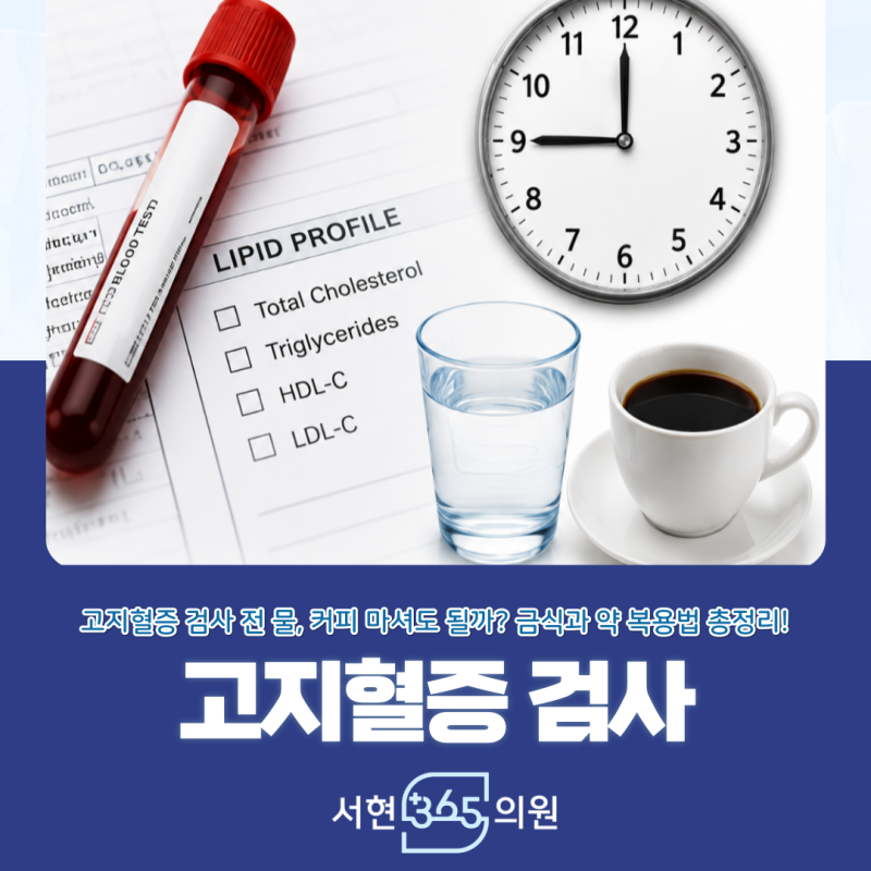 고지혈증 검사 당일 확인 가능 검사 전 공복 기준과 스타틴 복용 등 주의 사항 안내 분당 판....