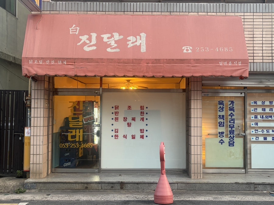 진달래 사진 1