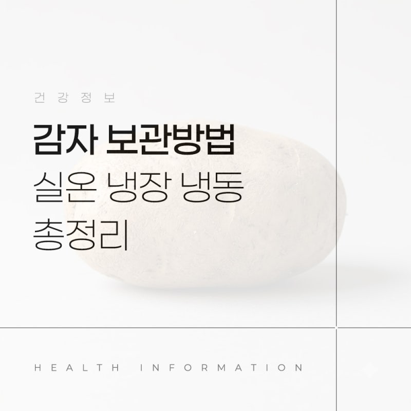감자 보관방법 오래 두고 먹으려면 실온 냉장 냉동 보관법 총정리