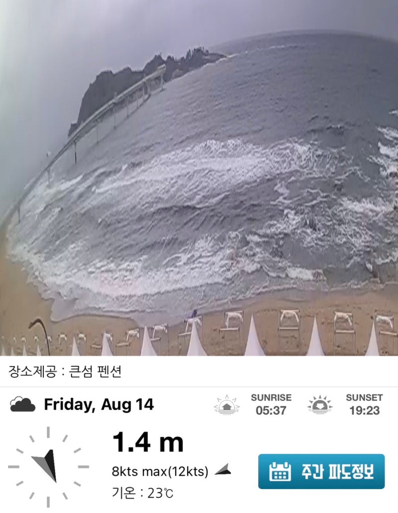 아이랑 바다 가기 전 실시간 파도 확인하는 꿀팁 (바다 CCTV 어플 추천)
